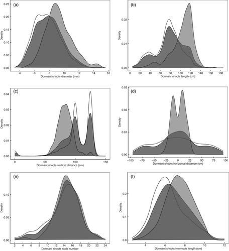 Characterising retained dormant shoot attributes to support automated cane pruning on Vitis vinifera L. cv. Sauvignon Blanc