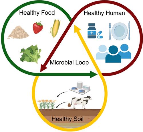 Sustainable agricultural practices contribute significantly to One Health