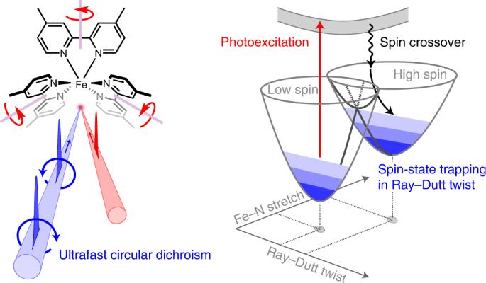 Chiral control of spin-crossover dynamics in Fe(II) complexes