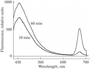 The Presence of Azulene on the Surface of Plant Cells as a Test for Ozone Sensitivity