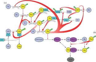 Haemostasis and Thrombosis. Spatial Organization of the Biochemical Processes at Microscale