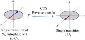 Some aspects of transition selective NMR involving rare spins