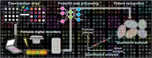 Supramolecular optical sensor arrays for on-site analytical devices