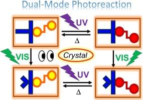 In-situ crystal structure analysis and control of photochromism with dual-mode photoreactive soft crystals