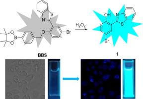 Design, synthesis and properties of hydrogen peroxide fluorescent probe based on benzothiazole