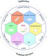 Image to insight: exploring natural products through mass spectrometry imaging