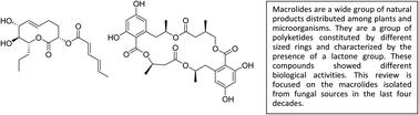 Fungal bioactive macrolides†