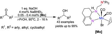 Efficient transfer hydrogenation of ketones using molybdenum complexes by comprehensively verifying the auxiliary ligands†