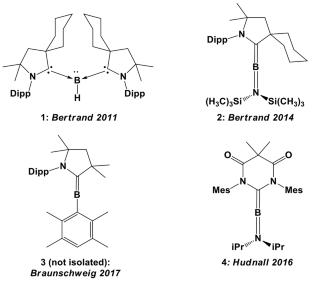 A Diamidocarbene-Supported Aminoborylene: Characterization and Discussion of the Elusive Crystal Structure