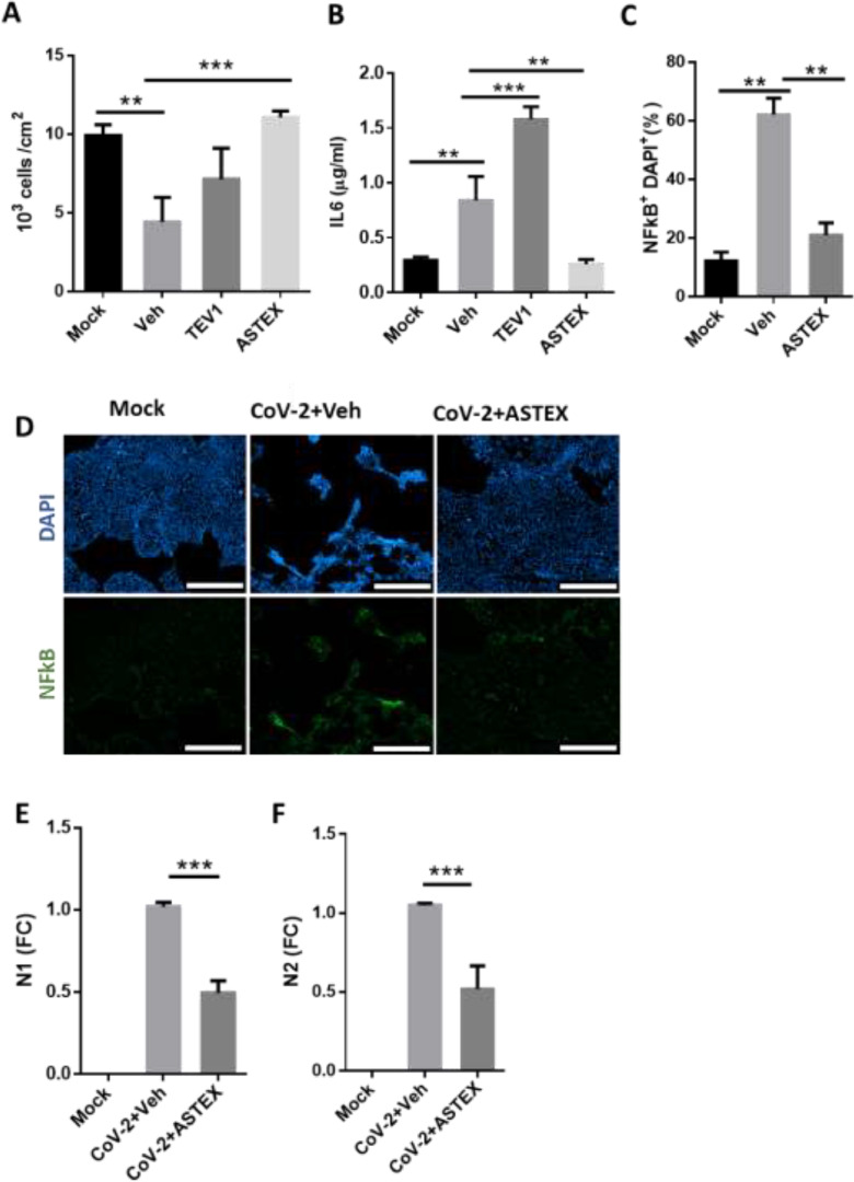 Engineered extracellular vesicles antagonize SARS-CoV-2 infection by inhibiting mTOR signaling