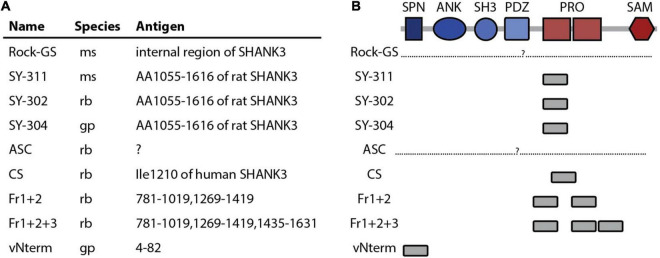 SHANK3 Antibody Validation: Differential Performance in Western Blotting, Immunocyto- and Immunohistochemistry.