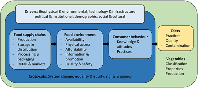 Vegetables for Healthy Diets in Low- and Middle-Income Countries: A Scoping Review of the Food Systems Literature.