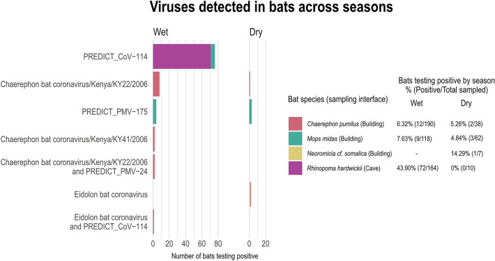 Coronavirus and Paramyxovirus Shedding by Bats in a Cave and Buildings in Ethiopia.