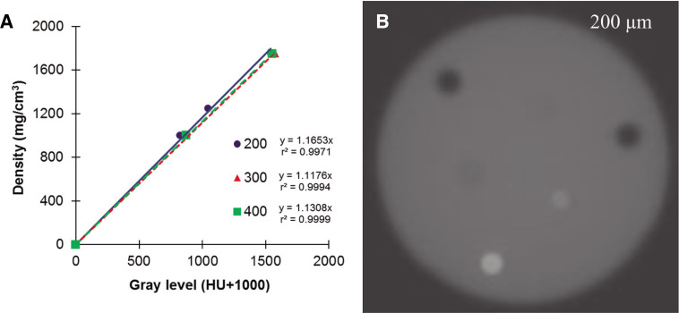 Influence of dental implantation on bone mineral density distribution: a pilot study.