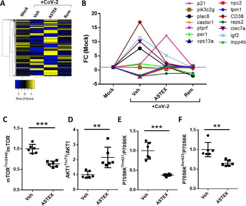 Engineered extracellular vesicles antagonize SARS-CoV-2 infection by inhibiting mTOR signaling