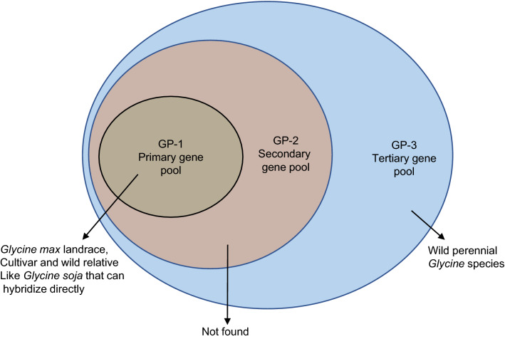 Expanding the gene pool for soybean improvement with its wild relatives