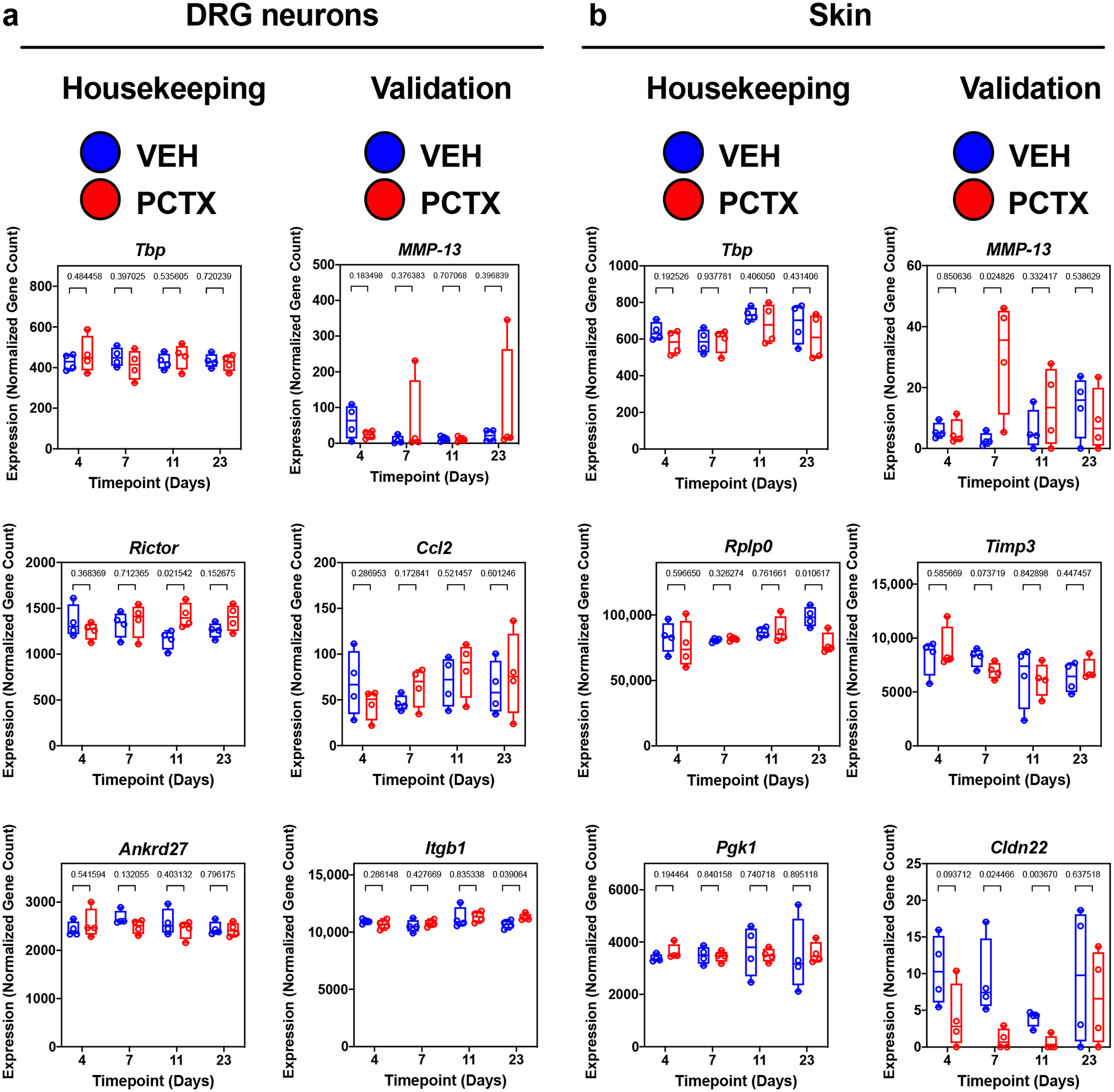 Longitudinal RNA Sequencing of Skin and DRG Neurons in Mice with Paclitaxel-Induced Peripheral Neuropathy.