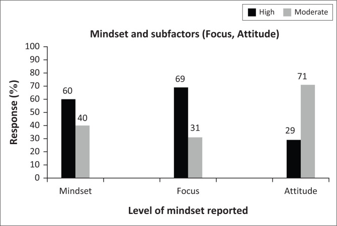 Mindset as a resilience resource and perceived wellness of first responders in a South African context.