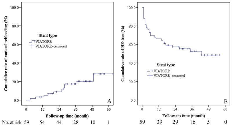 Elective Transjugular Intrahepatic Portosystemic Shunt Using Viatorr Stent-Grafts: A Single-Center Experience from China.