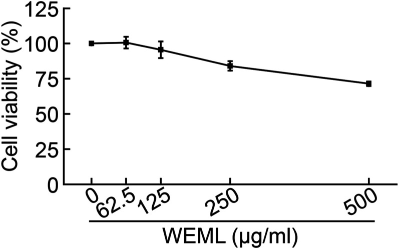 <i>Mangifera Indica</i> leaf extracts promote hair growth via activation of Wnt signaling pathway in human dermal papilla cells.