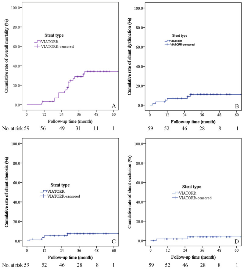 Elective Transjugular Intrahepatic Portosystemic Shunt Using Viatorr Stent-Grafts: A Single-Center Experience from China.