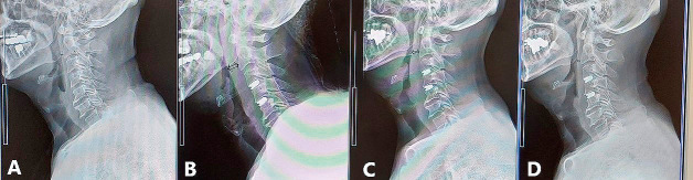 Abstract Image