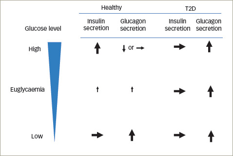 Tirzepatide: A Novel, Once-weekly Dual GIP and GLP-1 Receptor Agonist for the Treatment of Type 2 Diabetes.