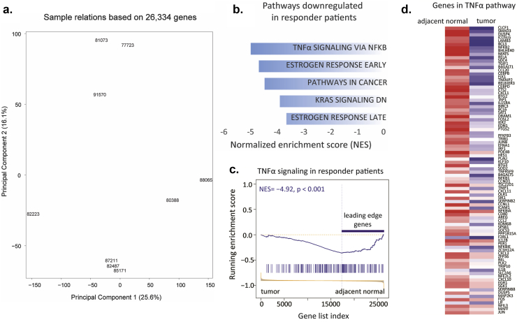 Genomic analysis and long-term outcomes of a phase 1 clinical trial on cytoreductive radical prostatectomy