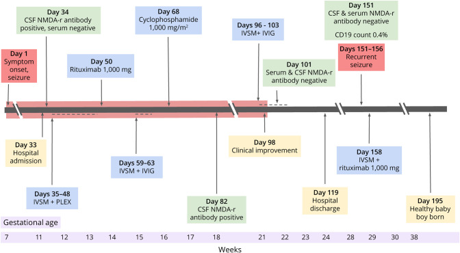 Refractory Anti-NMDA Receptor Encephalitis in Early Pregnancy: A Case Report of Treatment Course and Pregnancy Outcomes.