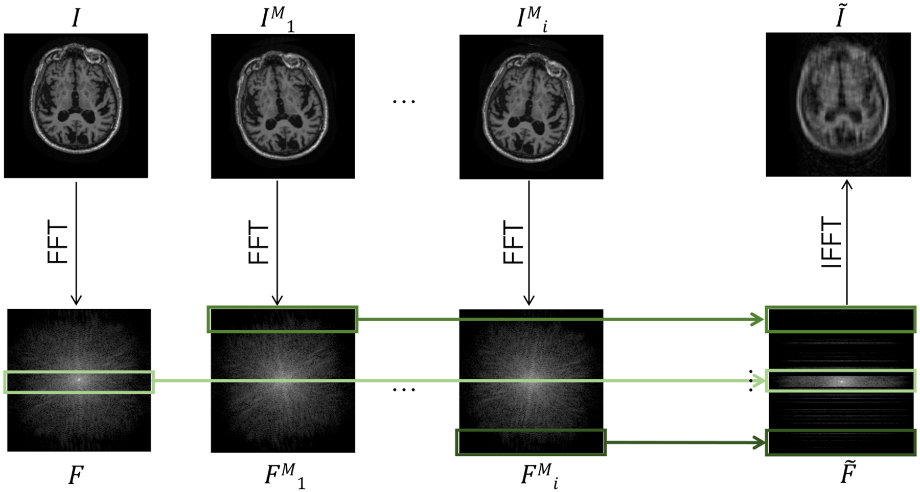 Joint Frequency and Image Space Learning for MRI Reconstruction and Analysis.