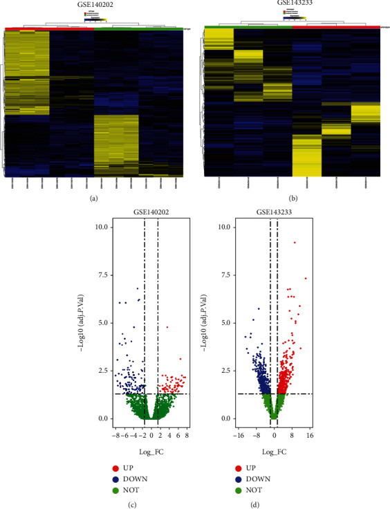 HMOX1 Attenuates the Sensitivity of Hepatocellular Carcinoma Cells to Sorafenib via Modulating the Expression of ABC Transporters.