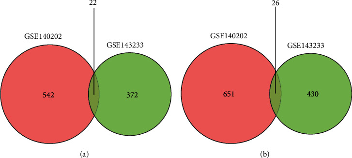 HMOX1 Attenuates the Sensitivity of Hepatocellular Carcinoma Cells to Sorafenib via Modulating the Expression of ABC Transporters.