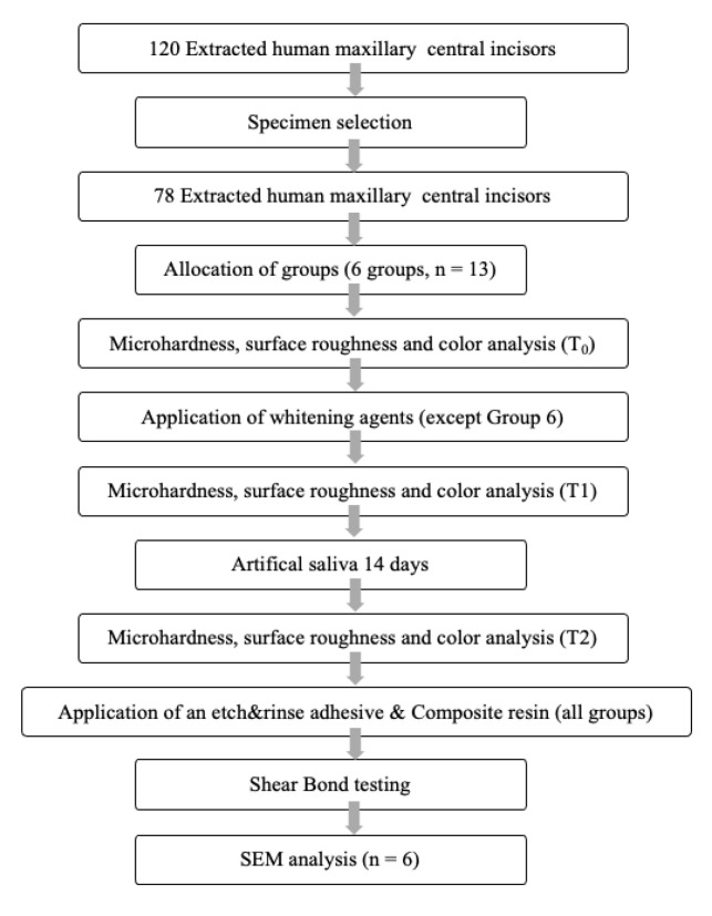 Effects of Different Over - the - Counter Whitening Products on the Microhardness, Surface Roughness, Color and Shear Bond Strength of Enamel.