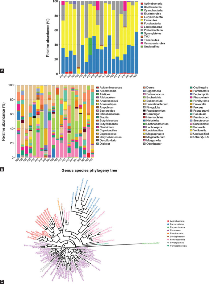 Attributes of intestinal microbiota composition and their correlation with clinical primary non-response to anti-TNF-α agents in inflammatory bowel disease patients.