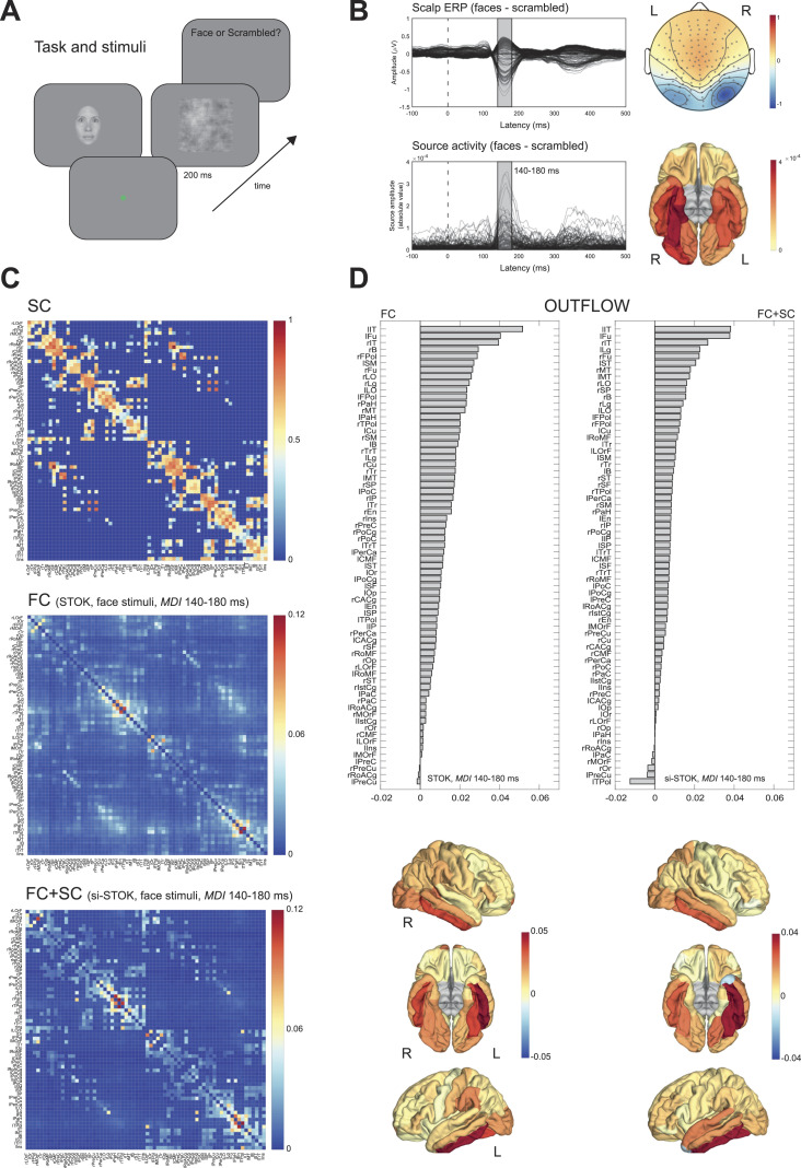 Structure supports function: Informing directed and dynamic functional connectivity with anatomical priors.