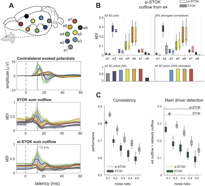 Structure supports function: Informing directed and dynamic functional connectivity with anatomical priors.