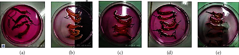 Abstract Image