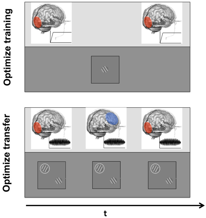 Perspectives on the Combined Use of Electric Brain Stimulation and Perceptual Learning in Vision.