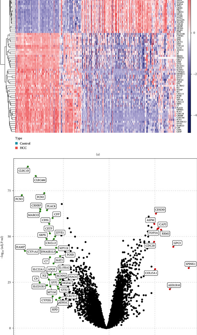Identification and Validation of a Novel Immune Infiltration-Based Diagnostic Score for Early Detection of Hepatocellular Carcinoma by Machine-Learning Strategies.