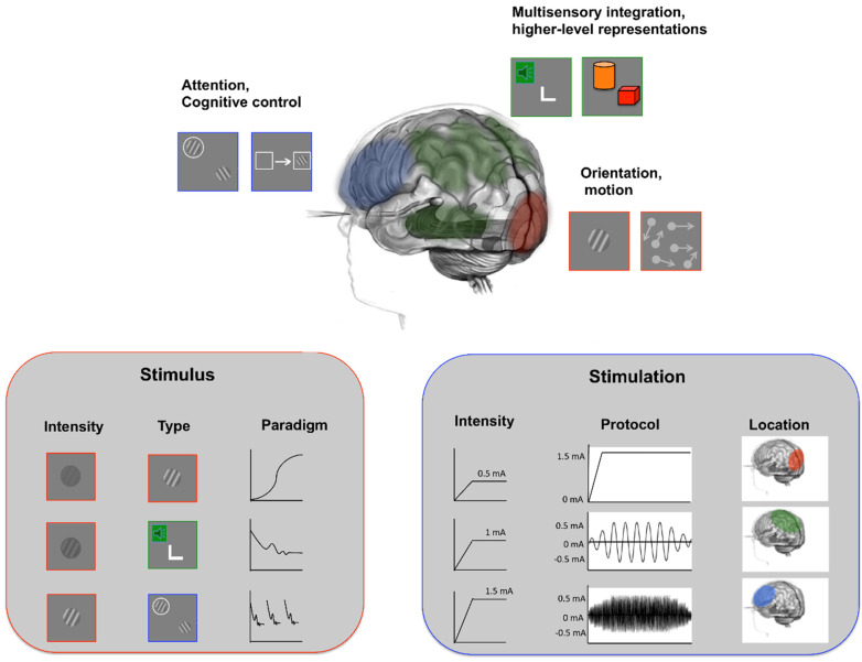 Perspectives on the Combined Use of Electric Brain Stimulation and Perceptual Learning in Vision.