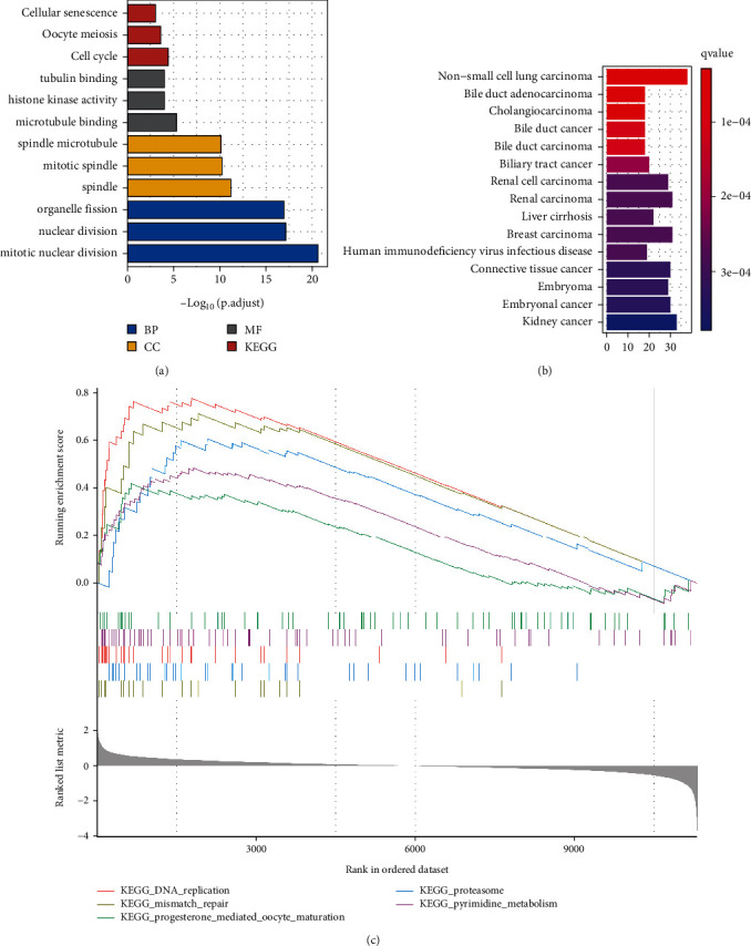 Identification and Validation of a Novel Immune Infiltration-Based Diagnostic Score for Early Detection of Hepatocellular Carcinoma by Machine-Learning Strategies.