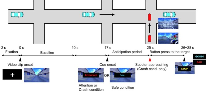 Neural basis for anxiety and anxiety-related physiological responses during a driving situation: an fMRI study.