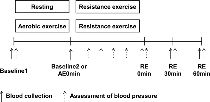 Effect of combined aerobic and resistance exercise on serum Klotho secretion in healthy young men -a pilot study-