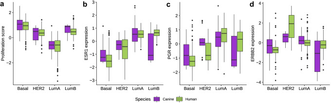 Comparative analysis of the molecular subtype landscape in canine and human mammary gland tumors.