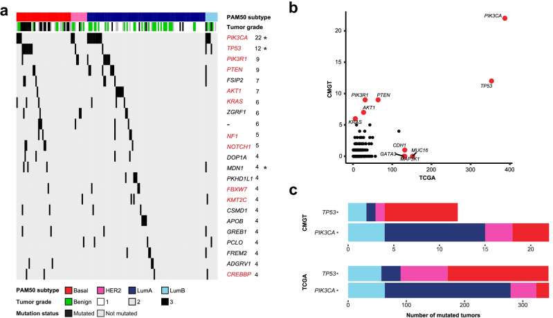 Comparative analysis of the molecular subtype landscape in canine and human mammary gland tumors.