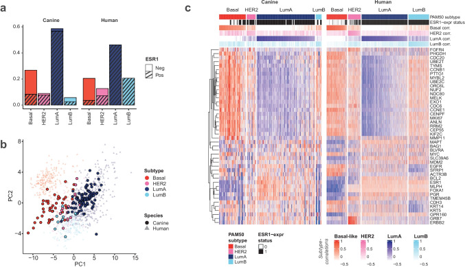 Comparative analysis of the molecular subtype landscape in canine and human mammary gland tumors.