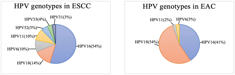 Oesophageal carcinoma: The prevalence of DNA tumour viruses and therapy