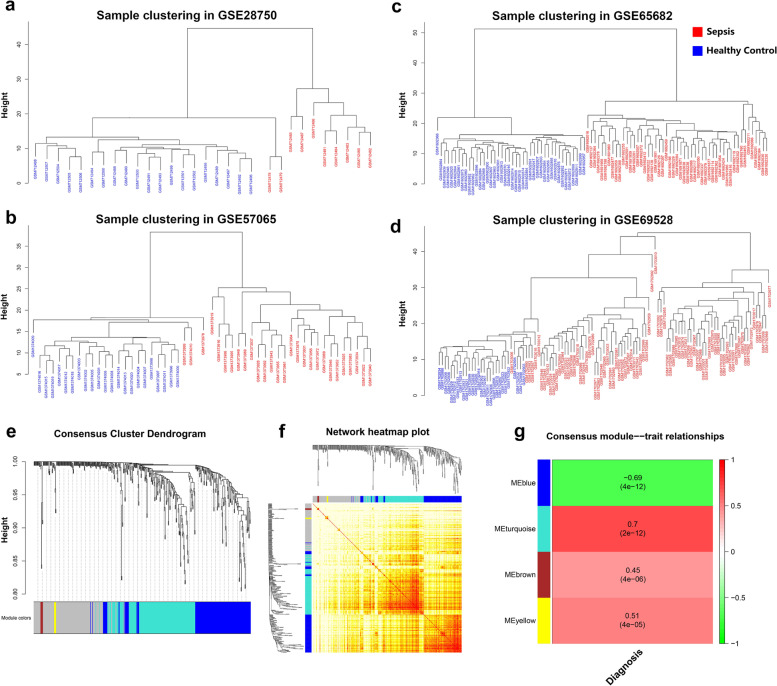 ARG1 as a promising biomarker for sepsis diagnosis and prognosis: evidence from WGCNA and PPI network.