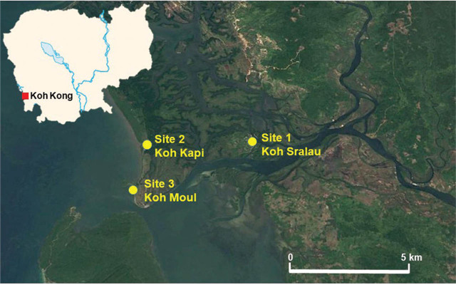 Mosquito (Diptera: Culicidae) diversity and medical importance in Koh Kong mangrove forests, Cambodia.