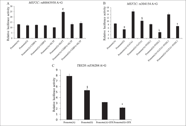 Single-Nucleotide Polymorphisms in Exonic and Promoter Regions of Transcription Factors of Second Heart Field Associated with Sporadic Congenital Cardiac Anomalies.